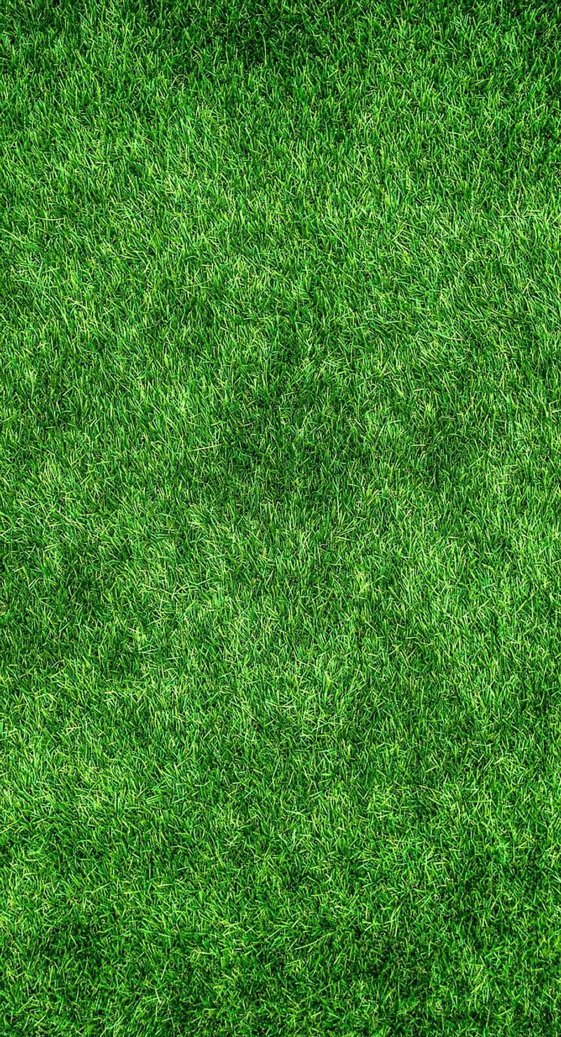 Eco-Friendly Designer