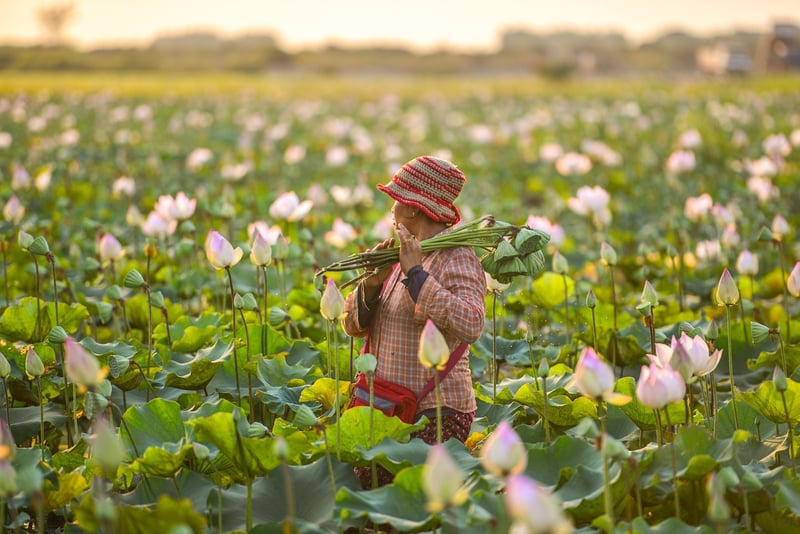 Sustainable Farmer