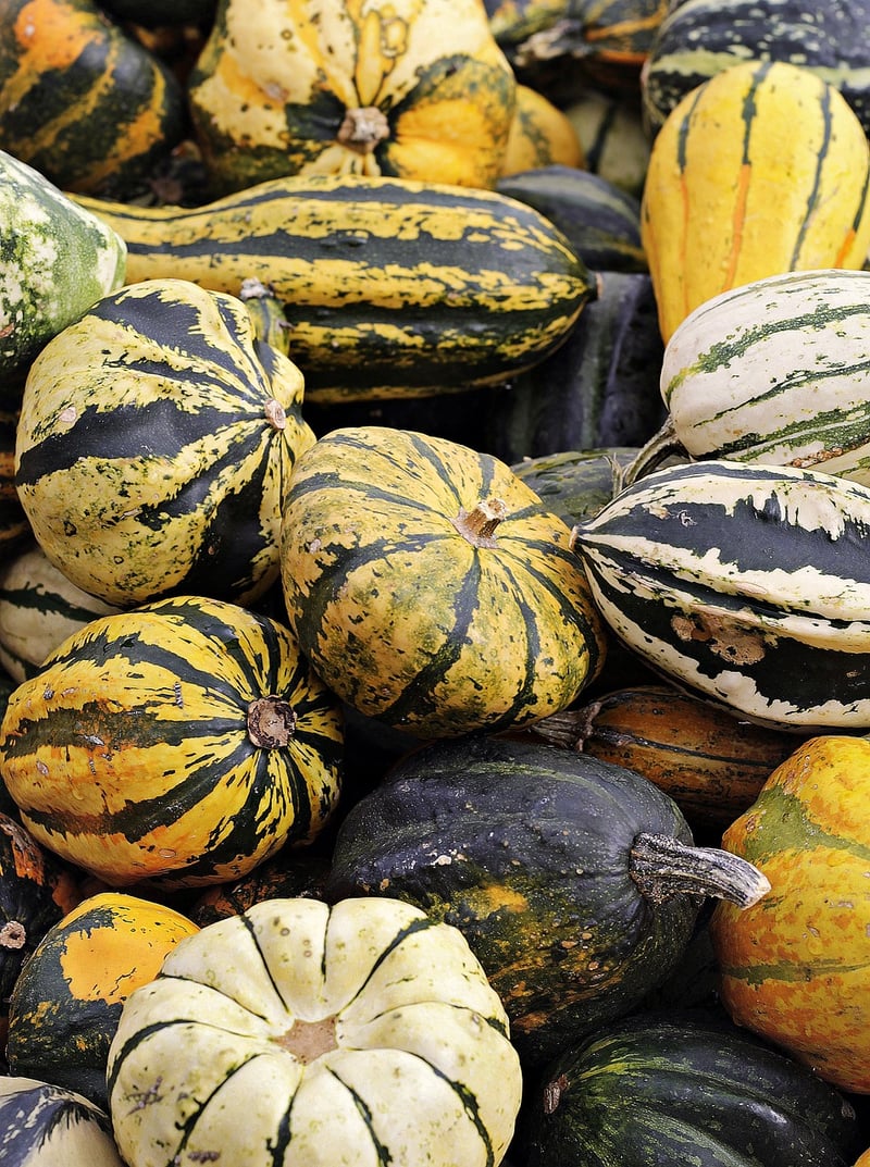 Sustainable Farming